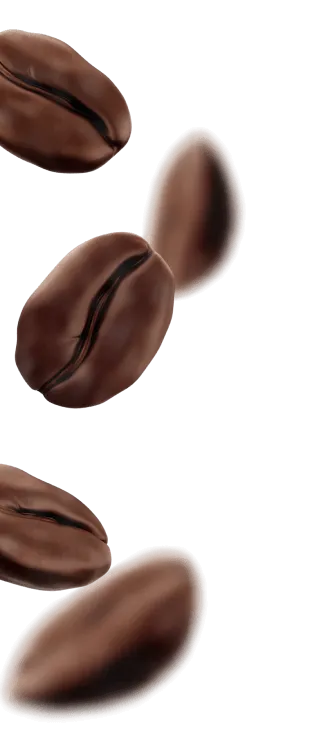 Granos de Café